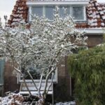 Groepslogo van Lambrecht van Dalelaan 9 